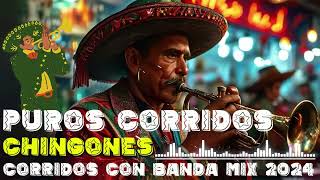 PUROS CORRIDOS CHINGONES 🎶 Corridos Con Banda Mix 2024 [upl. by Seedman]