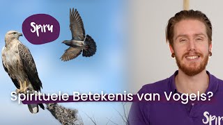 21 Ken jij De Spirituele Betekenis van deze Vijf Vogels  Boodschappen van Boven [upl. by Adam]