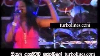 flash back with damitha abeyrathna sunu champa hindi song [upl. by Body225]