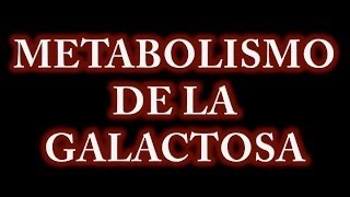 Metabolismo de la Galactosa y Enfermedades Relacionadas [upl. by Eittap890]