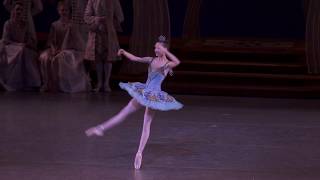 NYCB Sleeping Beauty Bluebird [upl. by Rendrag316]