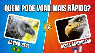 🐵🦁🐯 Batalha animal Quem é o rei da selva quiz animais [upl. by Rawlinson]