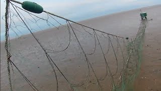 video 13 staking out the trammel nets for cod [upl. by Dnaltruoc]