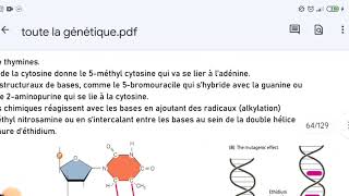 GÉNÉTIQUE 🧬 Réparation de lADN [upl. by Ainola]