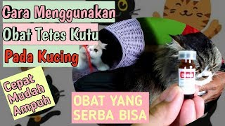 CARA MENGGUNAKAN OBAT TETES KUTU PADA KUCING Detick Obat Kutu Obat kutu kucing paling ampuh [upl. by Adolphus]