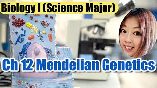 Ch 12 Mendelian Genetics [upl. by Niarda]