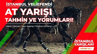 30 Mart 2024  İstanbul At Yarışı Tahminleri  Naim İşgören  Hakan Çakmak [upl. by Tada581]