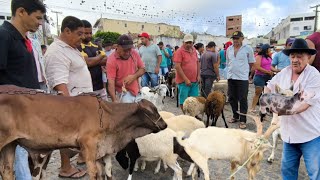 FEIRA DE ANIMAIS DE UMBUZEIRO PARAÍBA 19102024 [upl. by Trebleht518]