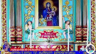 23 NOVEMBER 2024  0600PM  LIVE HOLY MASS  വിശുദ്ധ കുർബാന  VALLARPADAM SHRINE BASILICA [upl. by Rhianon]