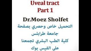 دمعز شلفيط Uveal tract Part 1 [upl. by Reginald802]