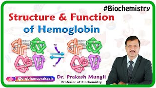 Structure and function of hemoglobin [upl. by Inttirb]