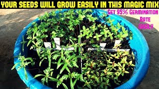 How To Grow Flower Seeds FastGet 9095 Germination Rate Easily With Updates [upl. by Jael]