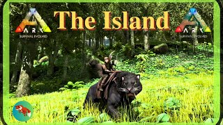 Taming a Sabertooth ARK Survival Evolved  SOLO  The Island 2024 EP4 [upl. by Luigi]