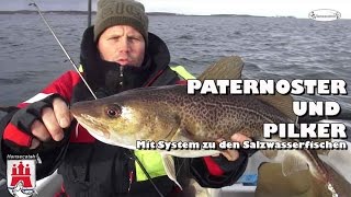 Paternoster und Pilker Mit System zu den Salzwasserfischen [upl. by Ialohcin687]