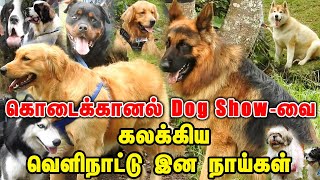 கொடைக்கானல் Dog Showவை கலக்கிய வெளிநாட்டு இன நாய்கள் dogshow2024 [upl. by Pepita611]