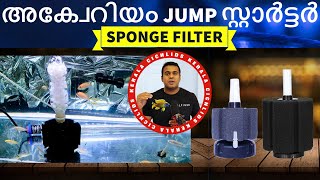 A Beginners Guide to Sponge Filters in Aquariums  The CostEffective Aquarium Filtration [upl. by Enna331]