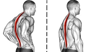 14 Morning Exercises To Correct Posture [upl. by Kain]