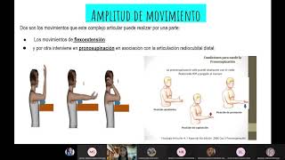 Biomecánica del codo Exposición [upl. by Kliment]