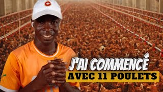 comment réussir élevage de poulet en 3 étapes [upl. by Midan]