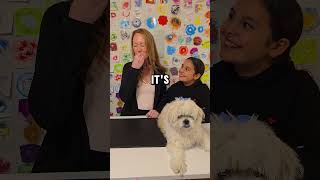 Candy thats dog food 🤔 shorts short youtubeshorts youtubeshort funny fyp viralvideo viral [upl. by Barnabe]