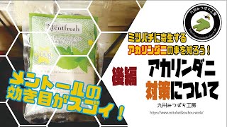 ミツバチに寄生するアカリンダニの事を知ろう！「後編 アカリンダニ対策について」日本みつばちの養蜂 How to Beekeeping [upl. by Heim]