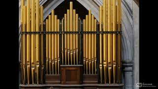 Winchester Cathedral Organ [upl. by Attaymik]