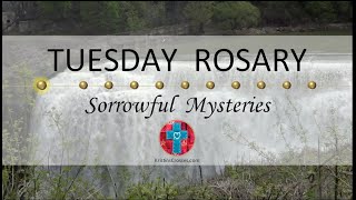 Tuesday Rosary • Sorrowful Mysteries of the Rosary 💜 May 28 2024 VIRTUAL ROSARY  MEDITATION [upl. by Ahsian626]