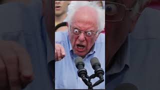 Bernie Sanders plays Elden Ring modded eldenring dlc [upl. by Yalonda777]