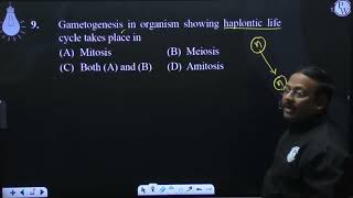 Gametogenesis in organism showing haplontic life cycle takes place in [upl. by Sikleb]