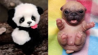 Cute baby animals Videos Compilation cute moment of the animals  Cutest Animals 44 [upl. by Welsh]