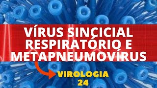 VÍRUS SINCICIAL RESPIRATÓRIO E METAPNEUMOVÍRUS  VIROLOGIA  AULA 24 [upl. by Hancock]