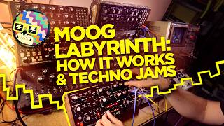 Moog Labyrinth Explained amp Generative Techno Jams [upl. by Quartus]