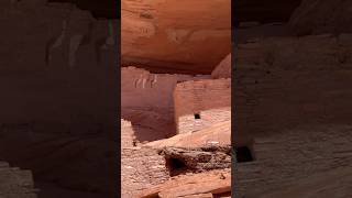 The history of Three Turkey Ruins wAlvin Yellowhorse navajo canyondechelly ruins [upl. by Bearnard]