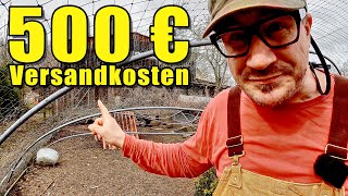 GewächshausAlbtraum 500€ Versandkosten und das alles nur für die Hühner 🤯 [upl. by Tnomed]