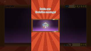 CRAZY BATTLE CATS EVOLUTION MONTAGEgames battlecat catfood gaming  thebattlecats gameplay [upl. by Eiramannod]