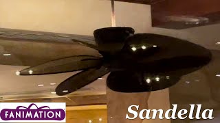 52quot Fanimation Sandella Ceiling Fans 11 12 13 14 15 16  16 [upl. by Rabaj205]