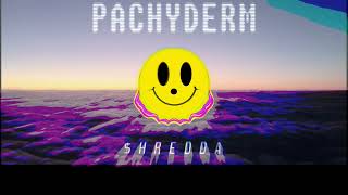 PACHYDERM  SHREDDA [upl. by Ennahtur743]