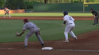 BSB Troy vs Samford Highlights [upl. by Tega]