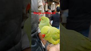 Tia Pakhi mirpur1pakhirhat foryou pakh vairalvedeos foryou youtubeshorts youtube [upl. by Maggs]