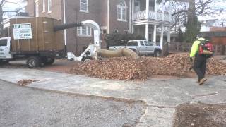 Leaf Removal Landscape Solutions [upl. by Eiruam637]