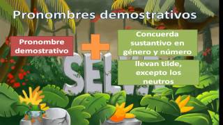 Lección 3 Pronombre demostrativo VS Adjetivo demostrativo [upl. by Walton]