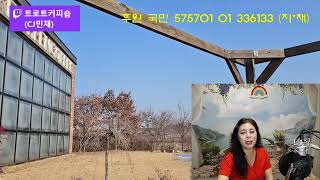 🍀제62회 01월 04일🍀월목PM8시 화금AM10시 트로트커피숍CJ민채 🔔구독👍좋아요 [upl. by Noremmac]