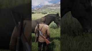 Horse taming rdr2 [upl. by Kreis]