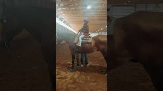 1st horse lesson 🐎 [upl. by Kathy]