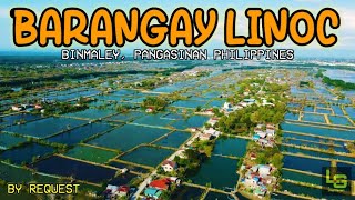 AERIAL SHOT  BY REQUEST  BRGY LINOC  BINMALEY PANGASINAN PHILIPPINES [upl. by Hal949]