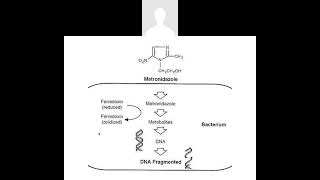 antibioitcs part 12 antiprotozoal drugs [upl. by Ashil410]