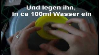 Tutorial Pflanze Toppen und zum Steckling machen [upl. by Raynell]