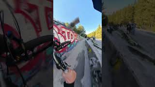 70kmh Brakeless MTB Bobsled POV [upl. by Quincy117]