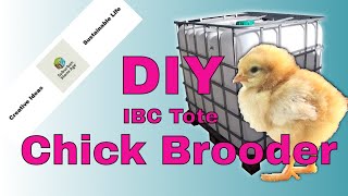 DIY IBC Tote Intermediate Bulk Container Chick Brooder  Fast Cheap Easy for Backyard Chickens [upl. by Johannes]