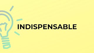 What is the meaning of the word INDISPENSABLE [upl. by Branch]